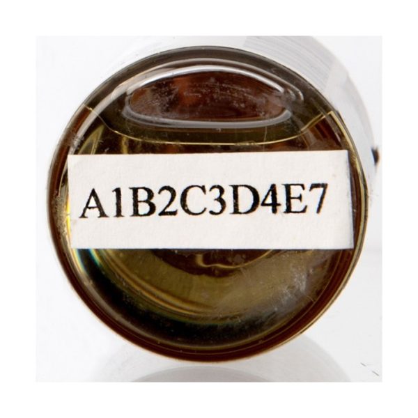 BXuubsw1lX9fcEebewXR-1